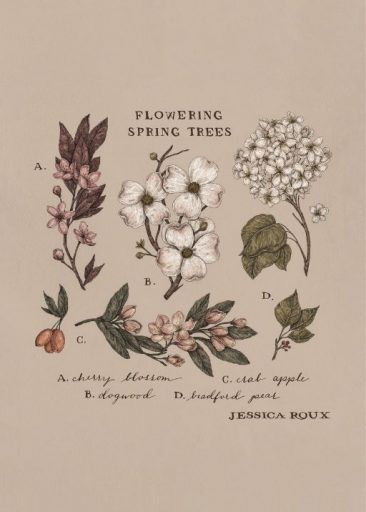 Flowering Spring Trees af Jessica Roux