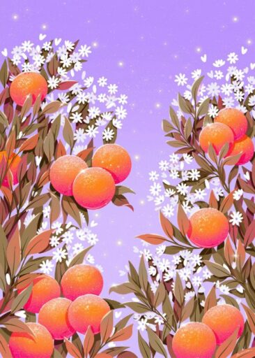 Orange front cover af Laurie-Anne Poquet